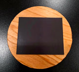 💸 WE LOST OUR CENTS MAGNET (2 pack)